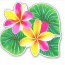 Suche nach rosa plumeria aufkleber Hawaii