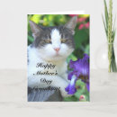 Suche nach oma tag karten Katzen