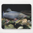 Suche nach bachforelle mousepads Fischerei