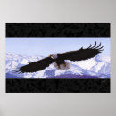 Suche nach weißkopfseeadler poster Tiere