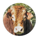 Suche nach rinde schneidebrettchen Landwirtschaft