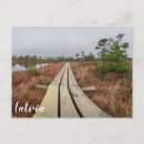 Suche nach sumpf postkarten Wandern