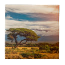 Suche nach kenia fliesen Landschaft