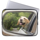 Suche nach labrador retriever laptop schutzhüllen Hund