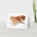 Suche nach hunde engel karten Welpe