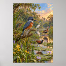Suche nach eisvogel poster Vogelbeobachtung