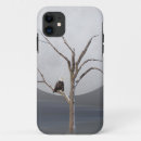 Suche nach adler iphone hüllen Natur