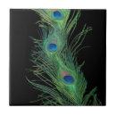 Suche nach bunte federn fliesen Pfau