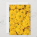 Suche nach sommerfarben postkarten Blume