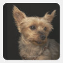 Suche nach hunde aufkleber Natur