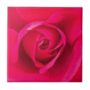 Suche nach romantische rose fliesen Blume