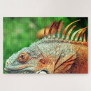 Suche nach leguan puzzle Tiere