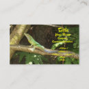 Suche nach reptil visitenkarten Eidechse