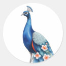 Suche nach peacock aufkleber Aquarell
