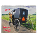 Suche nach pferd und buggy Amisch