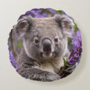 Suche nach koala kissen Tragen