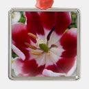 Suche nach tulpe ornamente Weiß