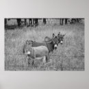 Suche nach drei freunde poster Tiere