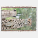 Suche nach gepard decken Natur