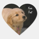 Suche nach golden retriever welpe aufkleber Tier