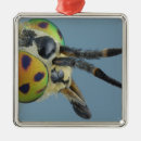 Suche nach antennen ornamente Nahaufnahmeansicht