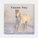 Suche nach weißes pferd magnete Reiter