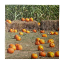 Suche nach heu fliesen Herbst