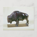 Suche nach bison postkarten Büffel