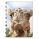 Suche nach kamel kleine notizbücher Natur