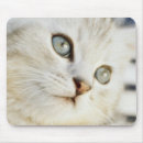 Suche nach kätzchen mousepads Tag