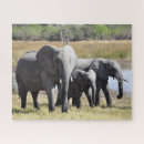 Suche nach afrikanischer elefant puzzle Savanne
