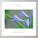 Suche nach schöne blumen poster Natur