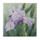 Suche nach lavendel blume fliesen Sommer