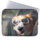 Suche nach corgi laptop schutzhüllen Welpe