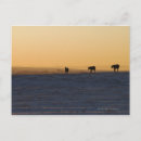 Suche nach abwesenheit postkarten Horizontal