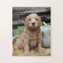 Suche nach halloween puzzle Hund