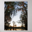 Suche nach caddo poster See