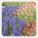 Suche nach keukenhof aufkleber Niederländisch