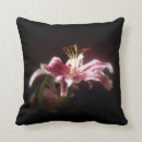 Suche nach stargazerlilie Blume