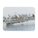 Suche nach farbbild magnete Blasinstrument