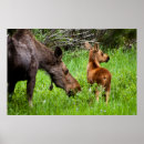 Suche nach wachsam poster Tier