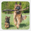 Suche nach polizeihunde aufkleber Tier
