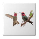 Suche nach fliegend fliesen Vogel