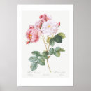 Suche nach vintage botanische poster Floral