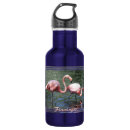 Suche nach flamingos trinkflaschen Vögel