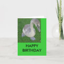 Suche nach fahrrad geburtstag karten Natur