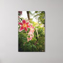 Suche nach rosa lilie leinwandbilder Lilien