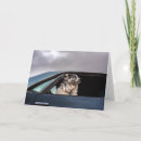 Suche nach hundebild karten Niedliche hunde