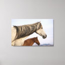 Suche nach pferdestern poster leinwandbilder Pferdebilder