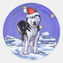 Suche nach zäh aufkleber Sibirischer husky